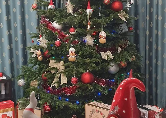 招待所 Johanna House 4*